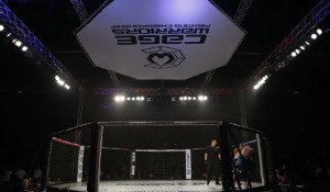 Bud Light and UFC Forge Landmark Sponsorship Deal